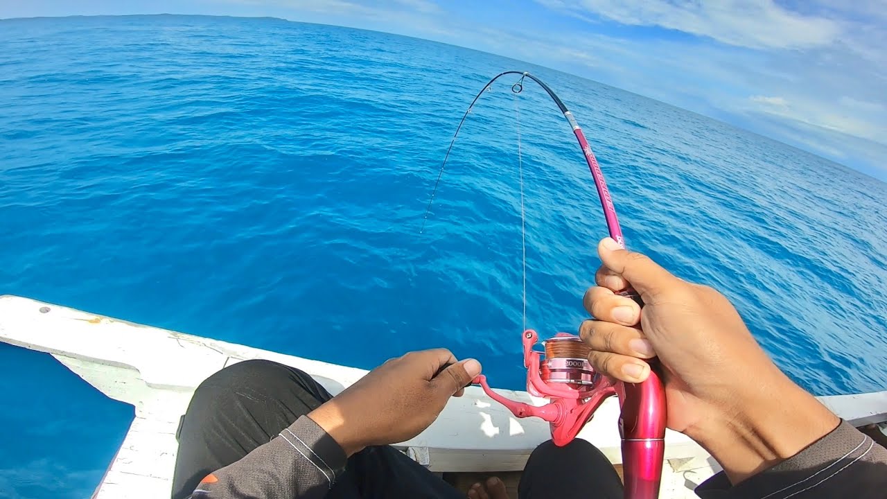 TES JORAN DAN REEL TERBARU DAIDO PINKY SERIES, LANGSUNG DI HAJAR IKAN BABON...!!!