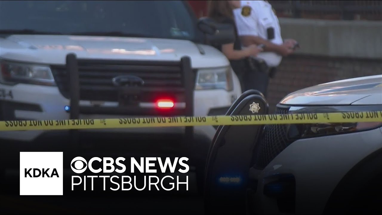 Shooting inside South Side business leaves 1 dead; suspect in custody ...