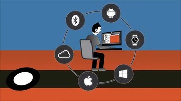 Delphi y C++Builder e The Internet of Things (Iot)