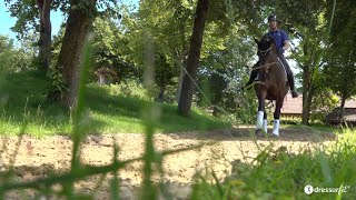 Loslassen Von Negativen Erfahrungen - So Schaffst Du Das