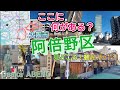 ここに何がある？／大阪市阿倍野区／見どころ！観光ガイド