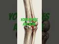 How Your Bones Secretly Heal Themselves #science #3danatomy #medicalanimation