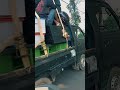 hanya sound deso bolo