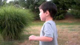 v.J@2y.free.cicada.avi