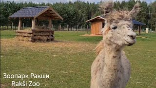 Зоопарк Ракши | Rakši Zoo