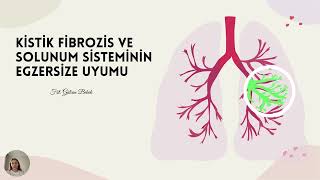 Gülcan Bebek Anlatıyor: Egzersize Solunum Sisteminin Uyumu: Kistik Fibroziste Egzersiz Resimi