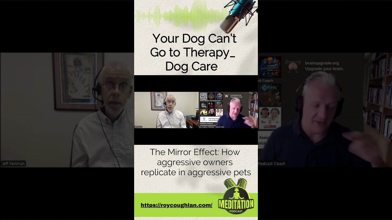 The Mirror Effect How aggressive owners replicate in aggressive pets