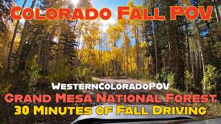 Grand Mesa Colorado Fall Drive | 30 Minutes of Golden Aspens | GoPro 4K POV