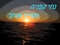 נתי קפויה מצייר אותך נתי קפויה מצייר אותך