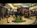 Individual 3-6-3 Sport Stacking World Record 1.658 (Chan Keng Ian)
