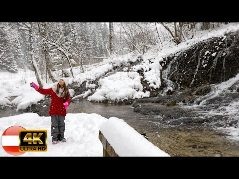 Video: Die besten Winterwanderungen in der Nähe von Montreal