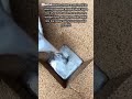 Sand Casting a Metal Pyramid