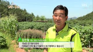 네트워크 현장 고향이 보인다 130813 #3(9)