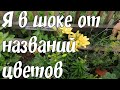 Алёнины Цветочки Огород-Сад #деревенскийтренд