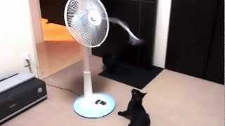 20120806