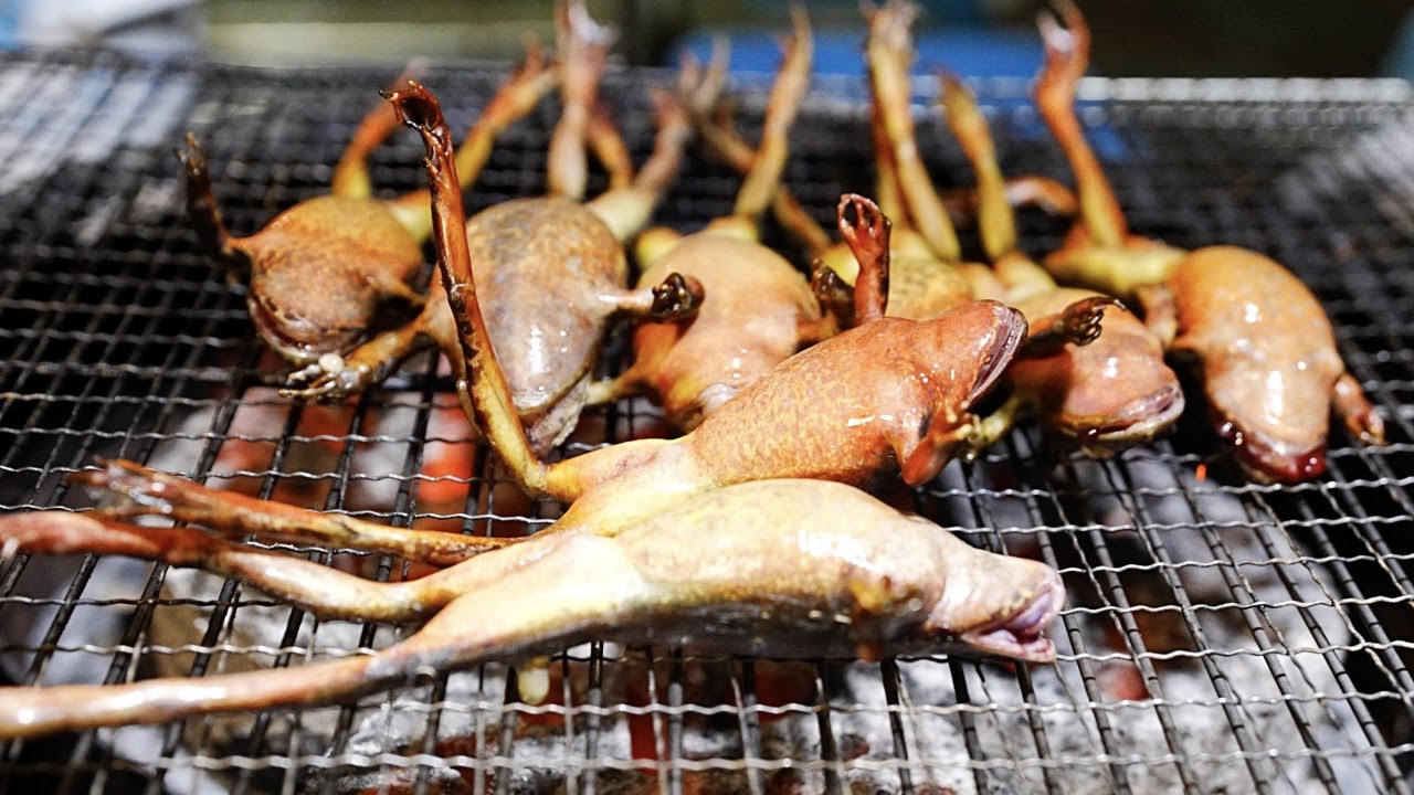 겨울 몸보신 최고봉! 개구리를 연탄에 올려 맛있게 구워 먹자!