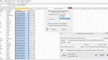 IRI CellShield EE (Enterprise Edition) Features