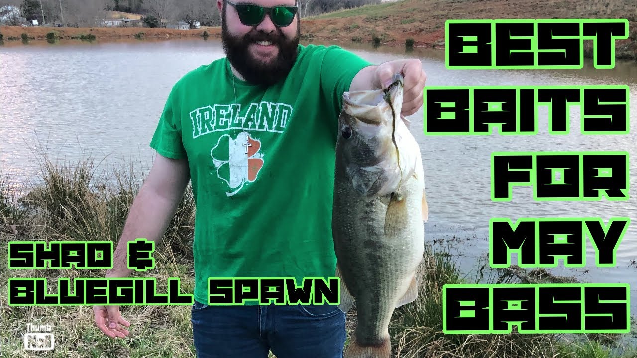 Best Baits for May Bass Fishing YouTube
