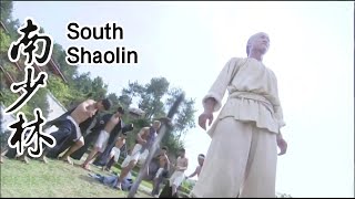 [Kung Fu Movie] Japanese samurai insults a girl on the,Shaolin monks intervene and annihilate them!