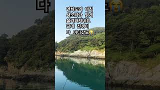 연화도의 아침 #연화도 #전갱이 #좌대낚시 #연화도의아침 #새소리 #통영
