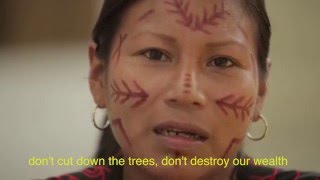 A Message To The World Leaders From The Amazon