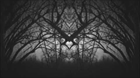 Tetrao Urogallus - Tetrao Urogallus [Official Video]