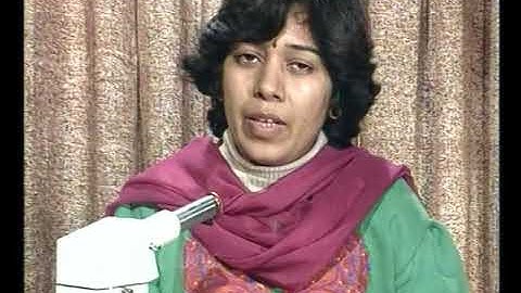 Optical Properties of Minerals in Transmitted Light