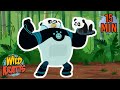 Wild Kratts Creature Powers Quiz