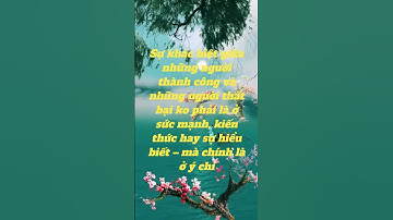 Các câu nói về thành công và thất bại #shorts