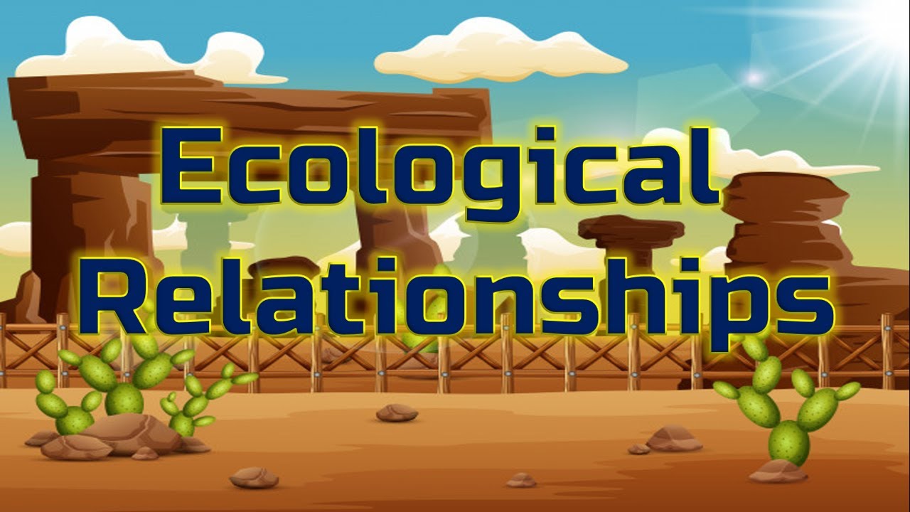 ECOLOGICAL RELATIONSHIPS TAGALOG YouTube