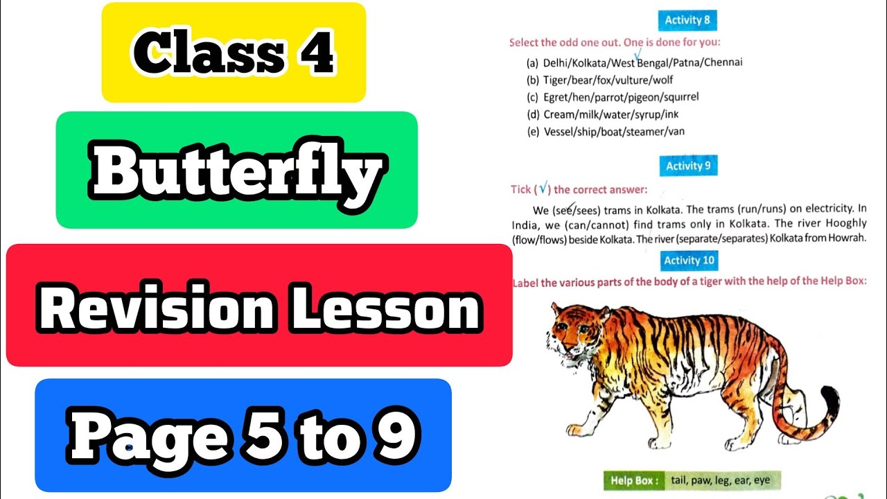 Class 4 English Butterfly - Revision Lesson - Page 5 6 7 8 9 Activity 8 9 10 11a 11b 12a 12b 13 14