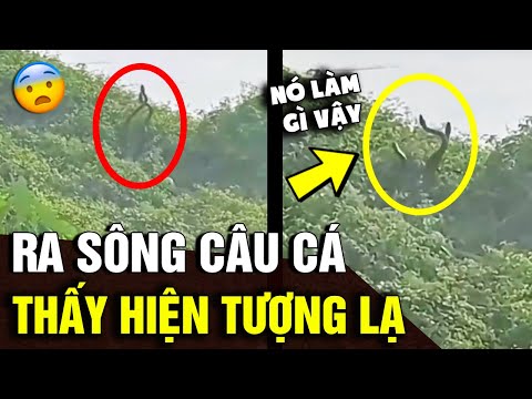 Video Ra bờ sông câu cá, thanh niên LẠNH TÓC GÁY khi chứng... - youtube