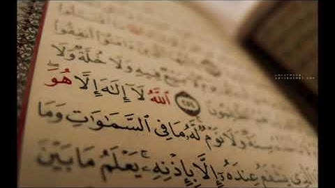 سورة البلد عبدالمحسن القاسم