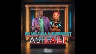 Dr Malinga & Shebeshxt ft Seven Step,Lebza Mfana,Naqua & 1stLady k - Asilali ( audio)