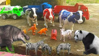 Mantull...Roller Truck Transports Colorful Cows, Pandas, Zebras, Hippopotamuses, T-rex