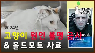 160. 고양이 원인 불명 급사와 볼드모트 사료