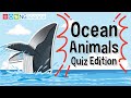 Marine Life and Ocean Facts