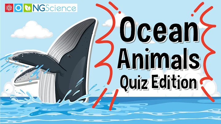 Ocean Animals – Quiz Edition