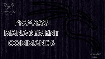 25 - Process Management Commands (ps-kill-pkill-killall-nice-renice)- Linux course in Arabic