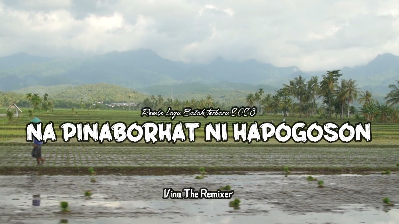 DJ BATAK - NA PINABORHAT NI HAPOGOSON - VINO THE REMIXER