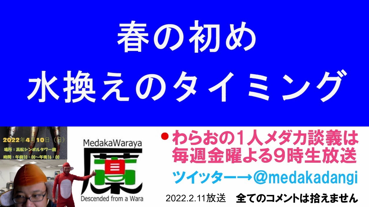 春の初め 水換えのタイミング 滋賀県のメダカ販売店 めだか藁屋 高木正臣 Youtube