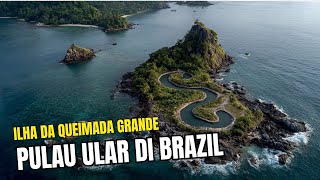 Download Lagu Pulau Ular di Brasil: Pulau Paling Mematikan di Dunia MP3