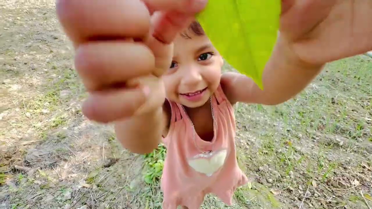 আমড়া পাতা কে কে খাইছেন। 
