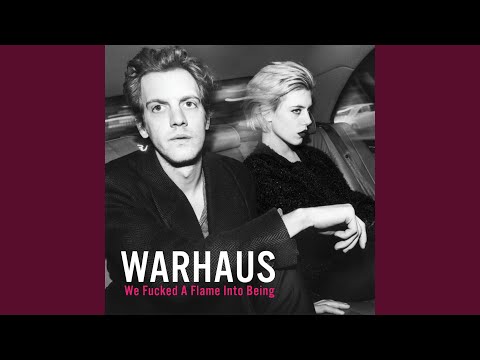 Warhaus — Wanda