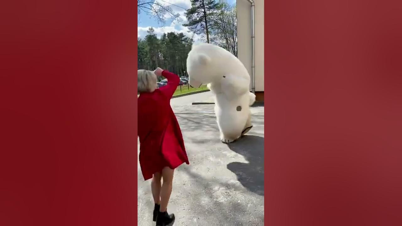 Белый Мишка на день рождения Гомель заказать +375293261105 - YouTube