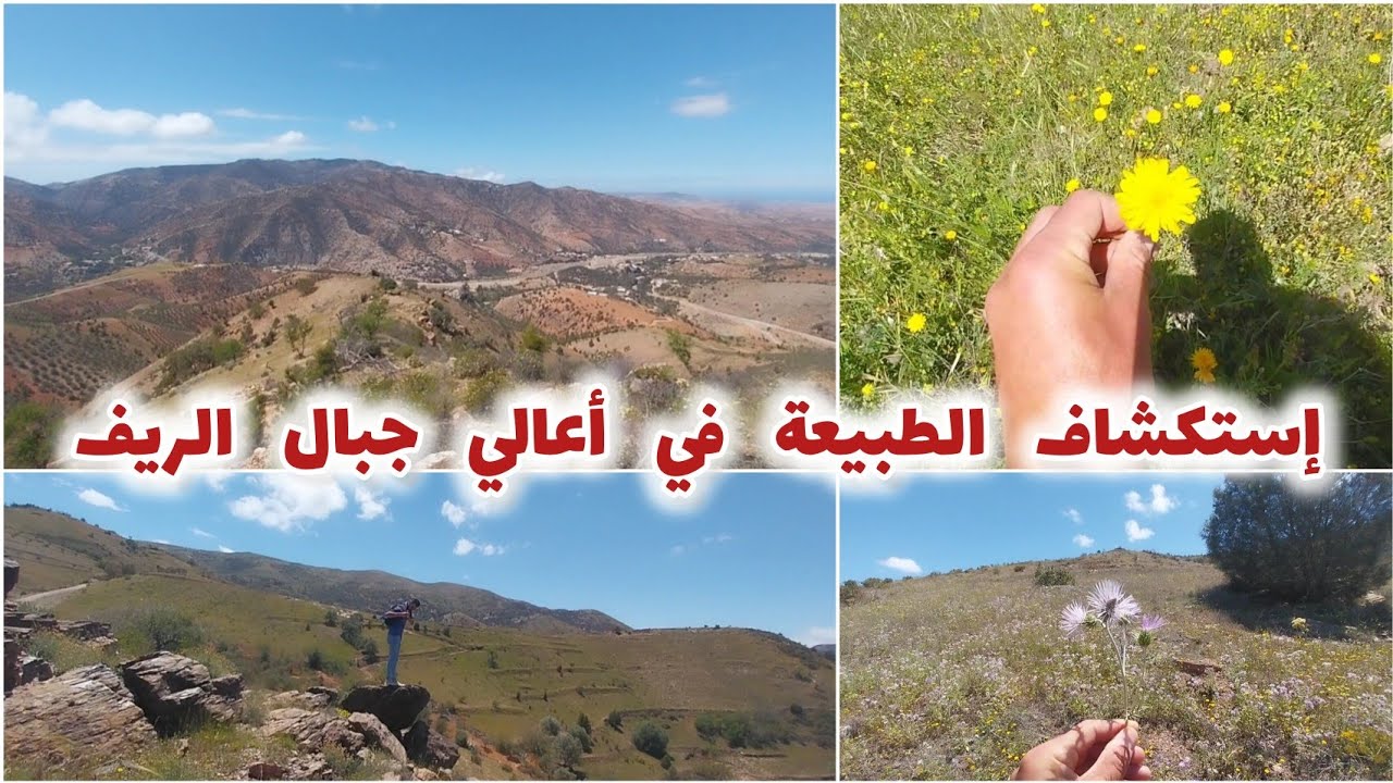 رحلة شيقة مشيا على الأقدام إلى اعالي جبال الريف لاستكشاف المناظر الطبيعية الخلابة