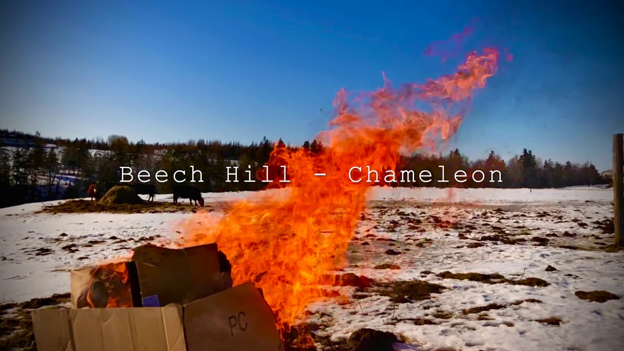 Beech Hill - Chameleon 3.13.2020