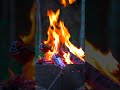 Relaxing Bonefire Ambience #焚き火 #自然音 #ASMR #癒しの音 #relaxingsounds #calmvideo #fireplace