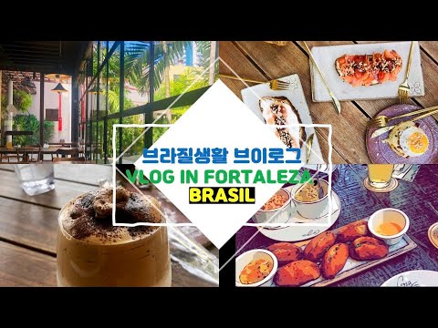 🇧🇷🇰🇷외식도 가능!브라질, 방탈출 브이로그/Giz Cozinha Bohemia, Mahalo Poke, Nusse Cafe, Pittucio Gelato, Ronco do Mar
