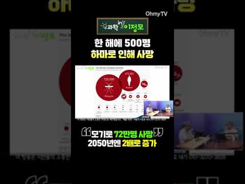 모기로 72만명 사망, 2050년엔 2배로 증가 #shorts